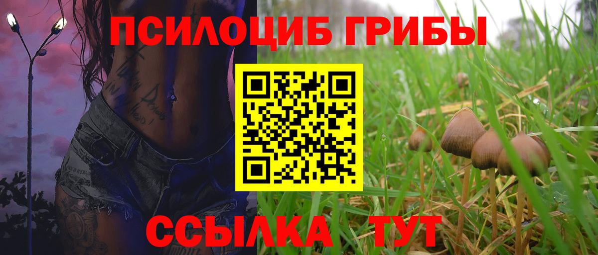 Галлюциногенные грибы Psilocybe Горячий Ключ